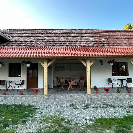 Casa Andrei Villa Cîrţişoara Eksteriør bilde