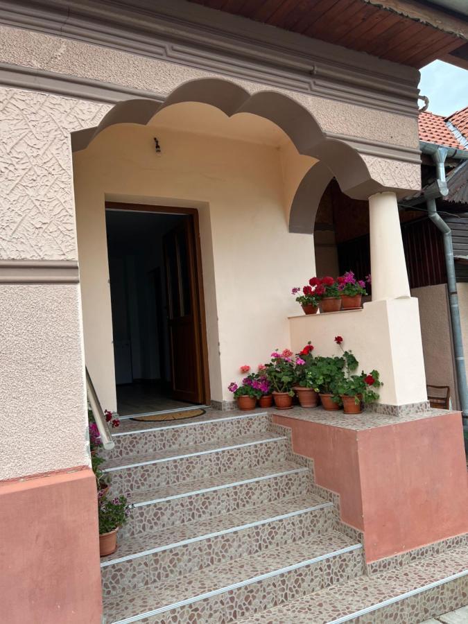 Casa Andrei Villa Cîrţişoara Eksteriør bilde