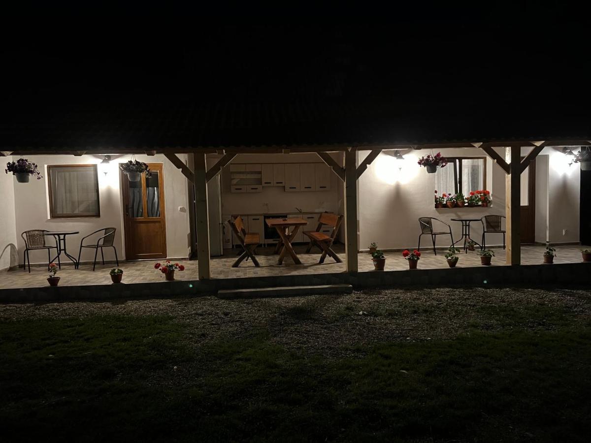 Casa Andrei Villa Cîrţişoara Eksteriør bilde