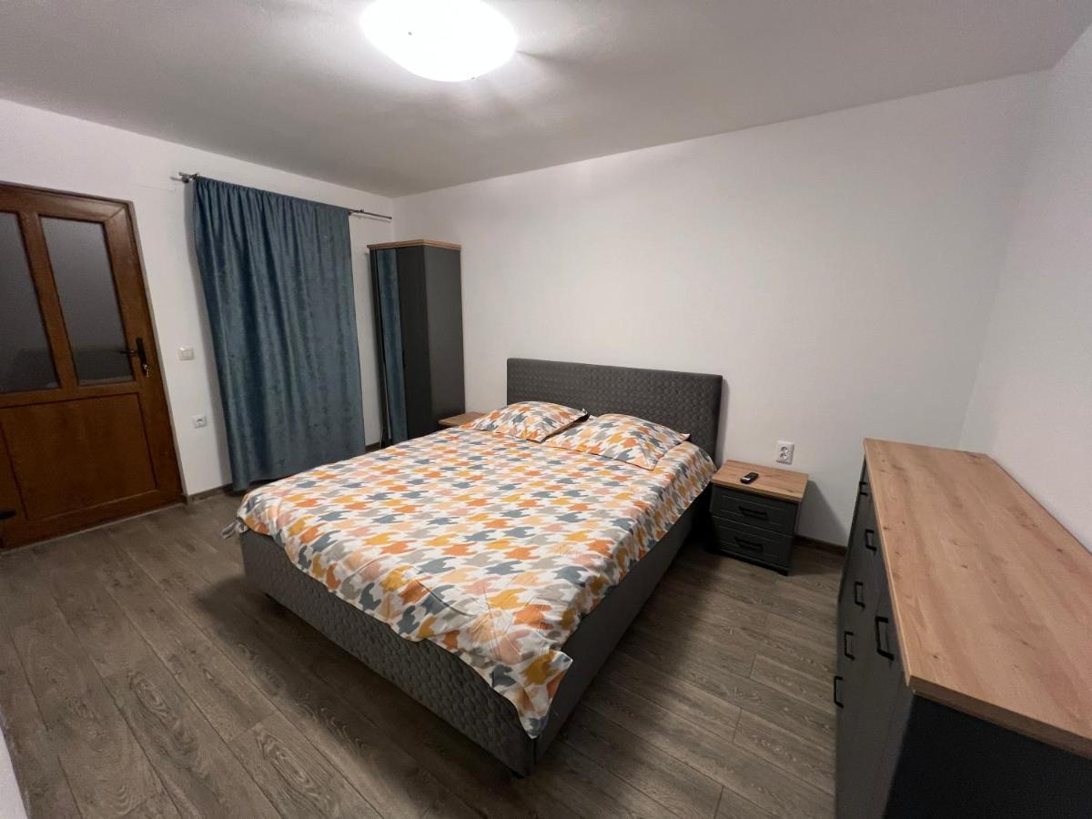 Casa Andrei Villa Cîrţişoara Eksteriør bilde