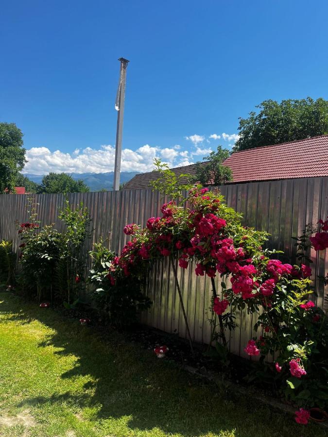 Casa Andrei Villa Cîrţişoara Eksteriør bilde