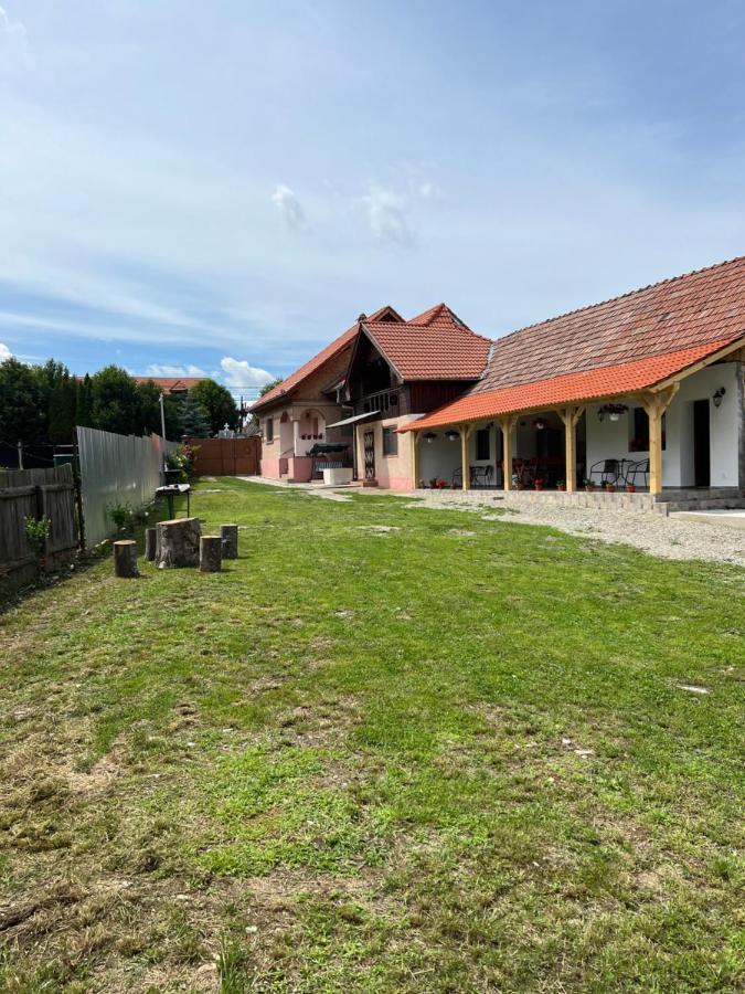 Casa Andrei Villa Cîrţişoara Eksteriør bilde